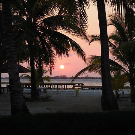 Sea Eye Hotel - Tropical Building Utila Εξωτερικό φωτογραφία