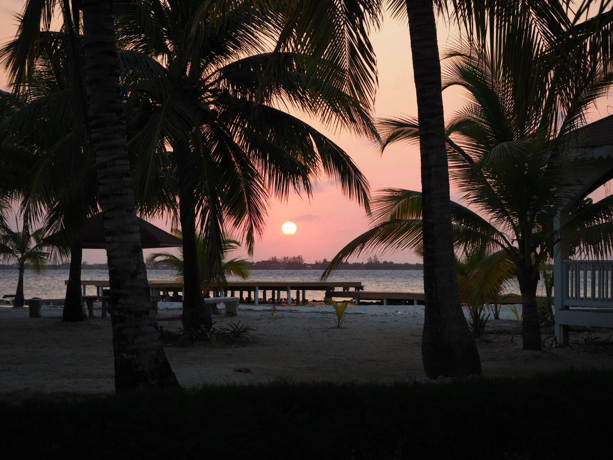 Sea Eye Hotel - Tropical Building Utila Εξωτερικό φωτογραφία