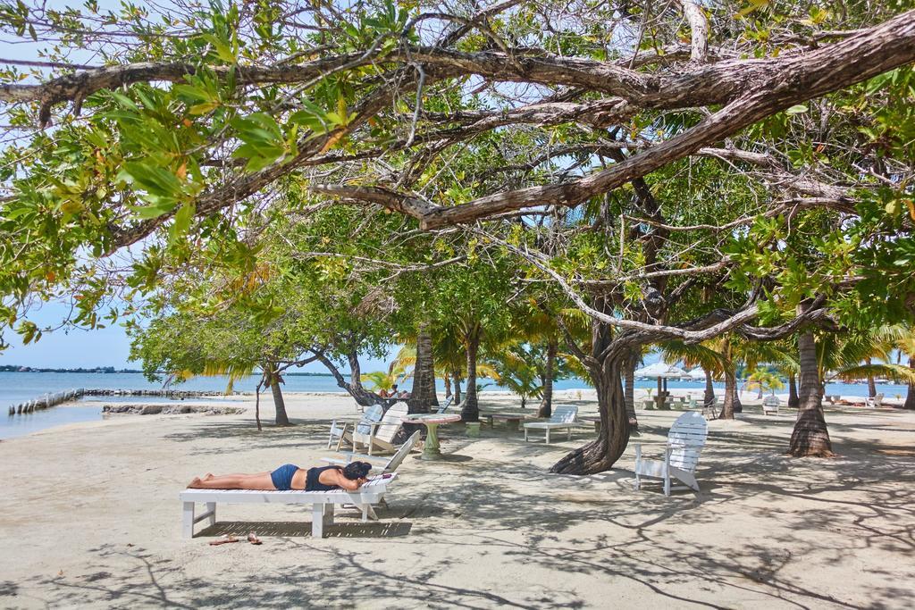 Sea Eye Hotel - Tropical Building Utila Εξωτερικό φωτογραφία