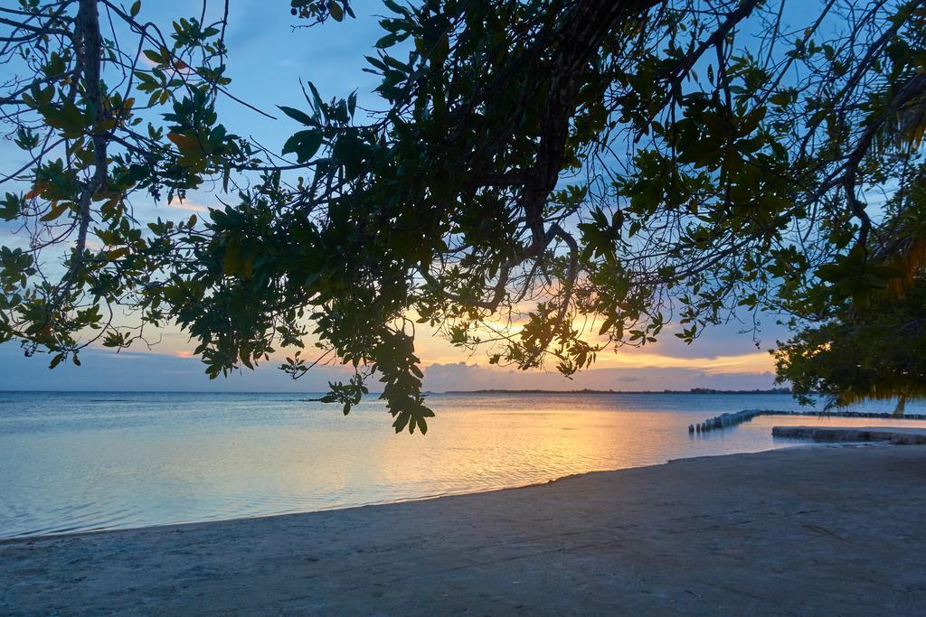 Sea Eye Hotel - Tropical Building Utila Εξωτερικό φωτογραφία